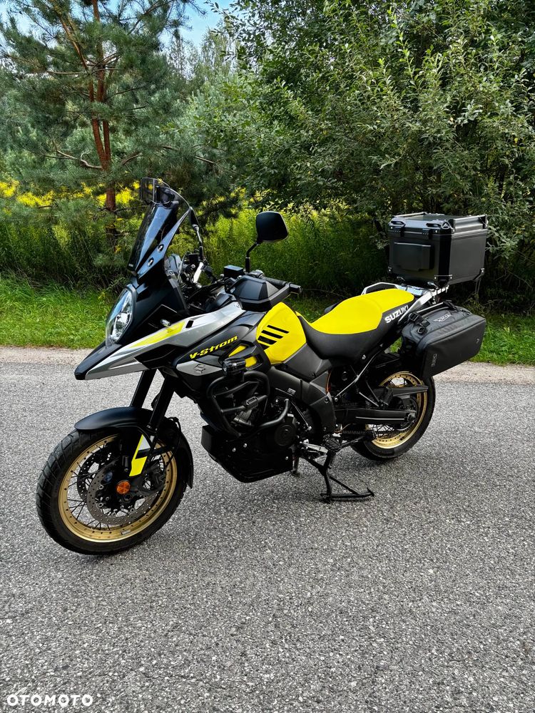 Suzuki DL - 3