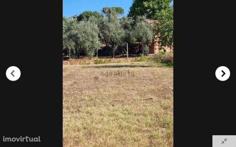 TERRENO 5.500m2 Parada de Gonta - Tondela - Grande imagem: 5/10