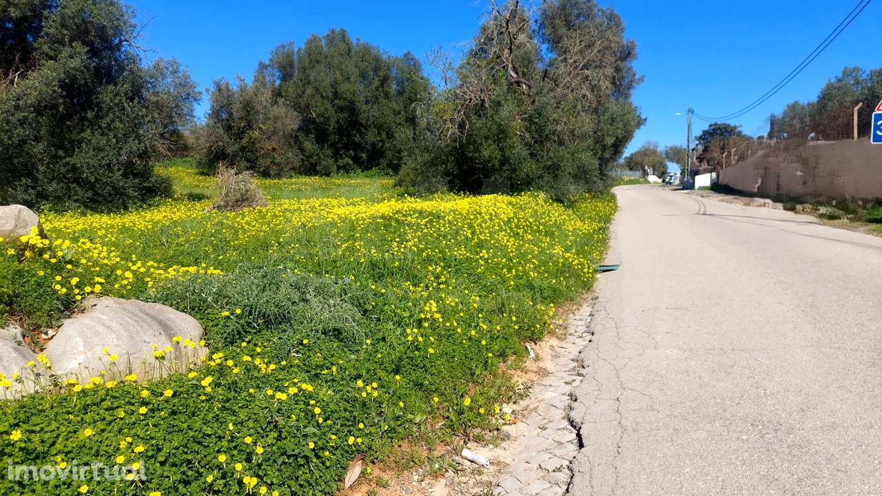 Lote de  Terreno Rustico - Grande imagem: 4/4