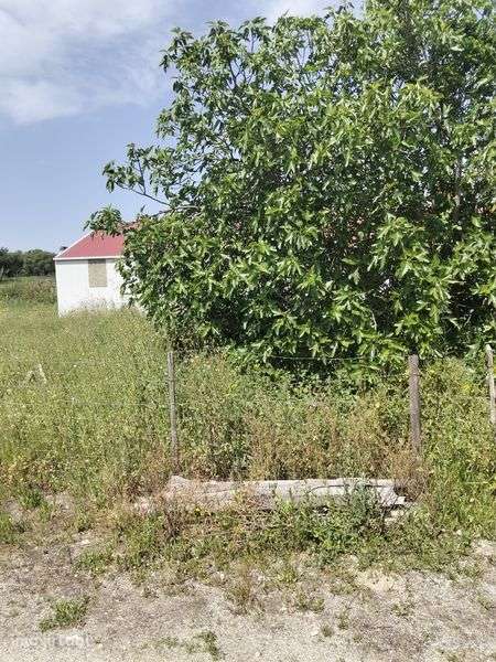 Armazém arrendamento - Grande imagem: 2/8