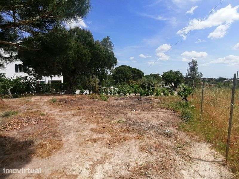 Terreno urbanizável 2.350 m² | PIP aprovado | Vale Mansos Coruche - Grande imagem: 3/11