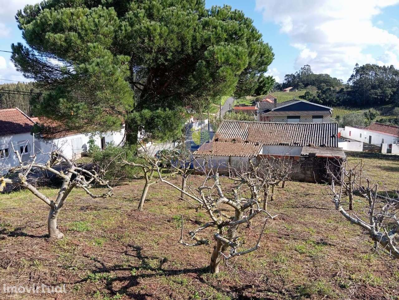 Terreno com 1996m2 na Alvorninha, Caldas da Rainha - Grande imagem: 5/6