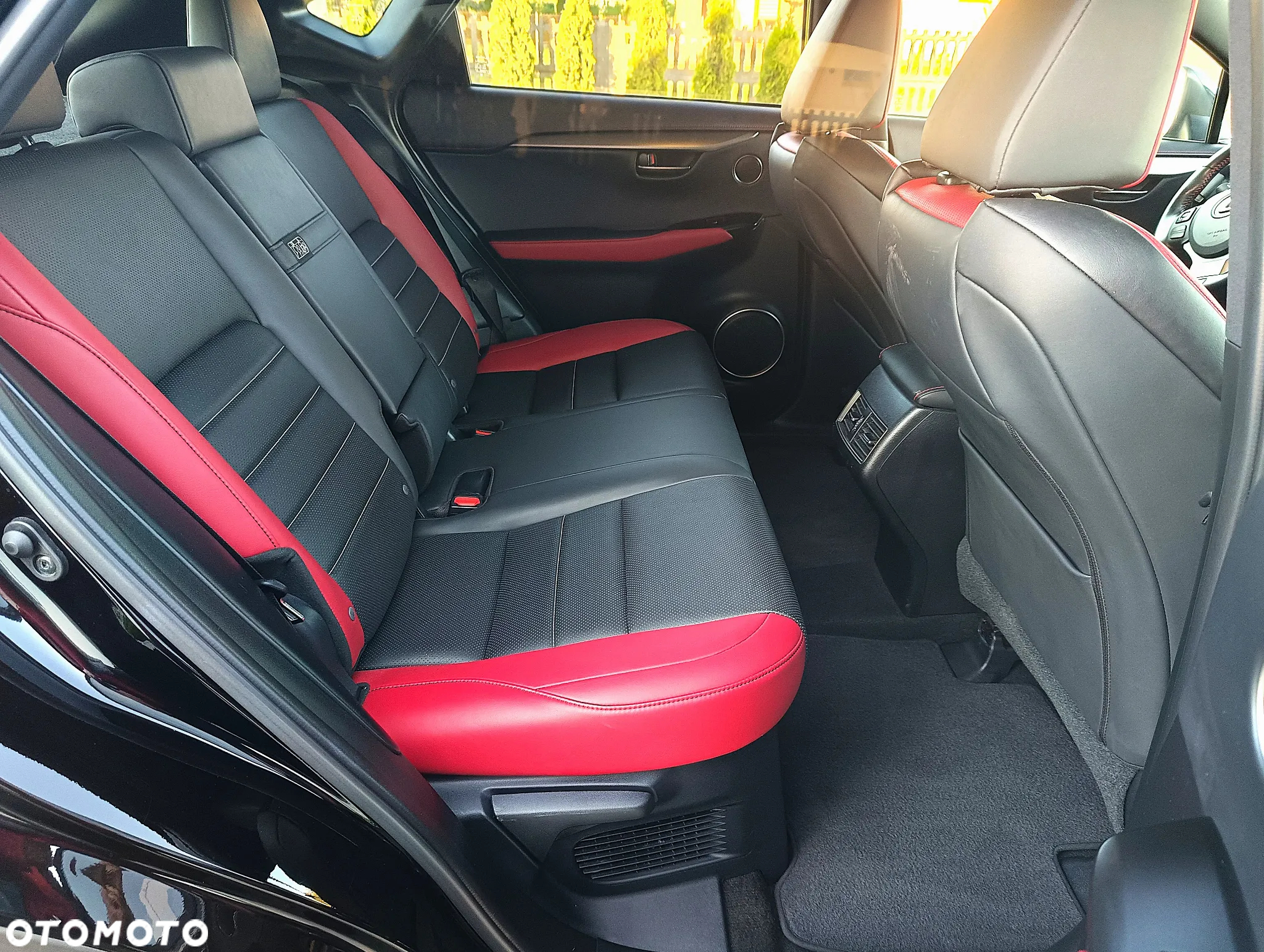 Lexus NX - 20