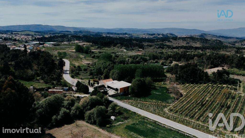 Comércio diverso em Sever de 1053,00 m2 - Grande imagem: 4/30