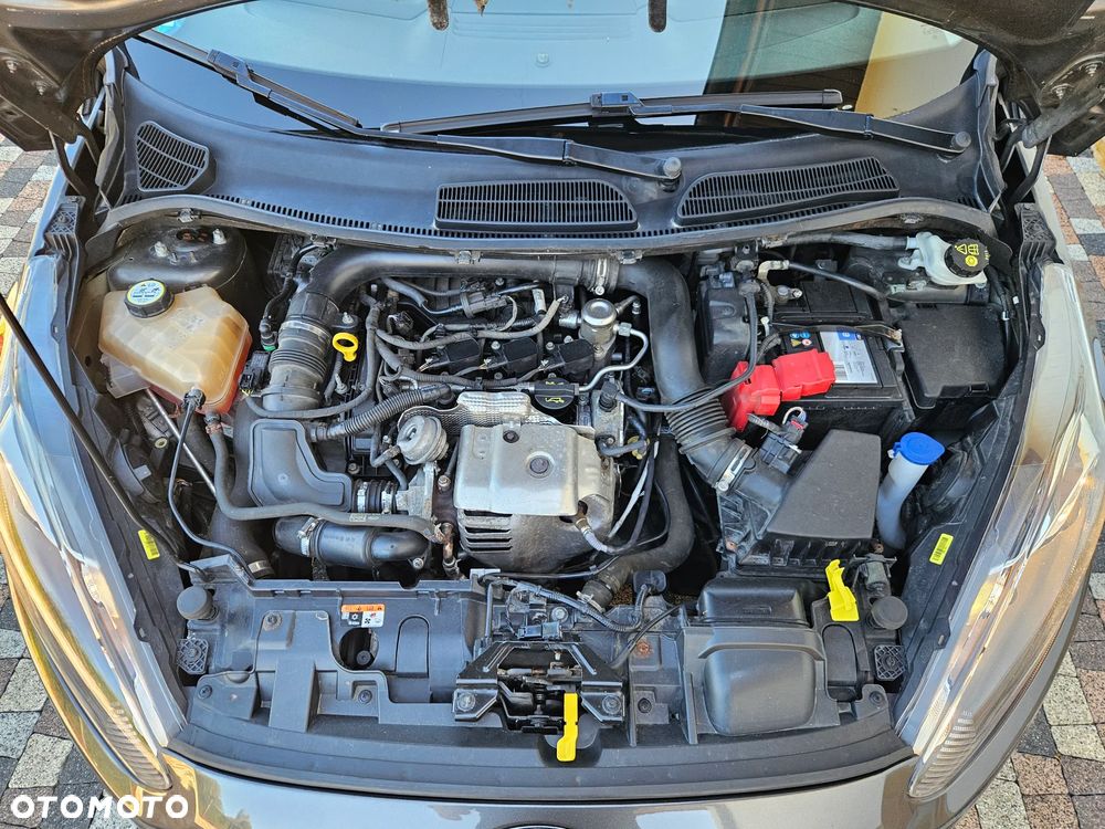 Ford Fiesta - 29
