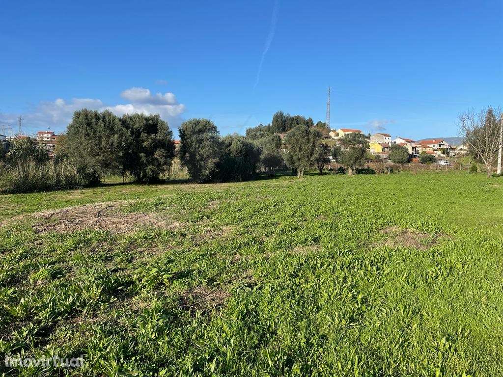 Terreno para arrendar na Feitosa - Grande imagem: 3/6