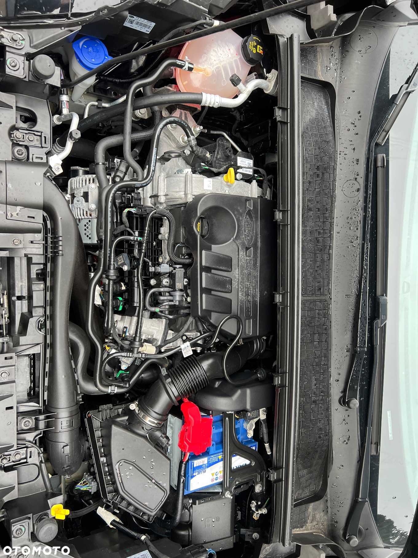 Ford Puma 1.0 EcoBoost mHEV Titanium Design - 29