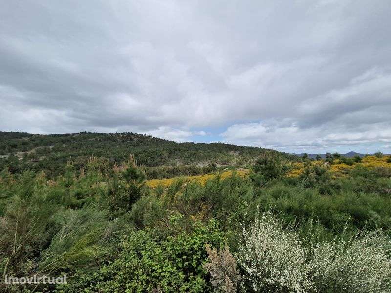 Terreno  rústico - Grande imagem: 2/6