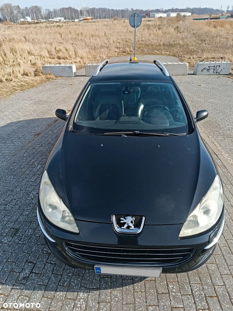 Peugeot 407 - 10