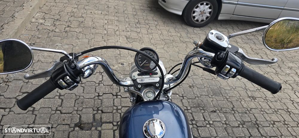 Harley-Davidson 883 100 ANOS ANNIVERSARY - 8