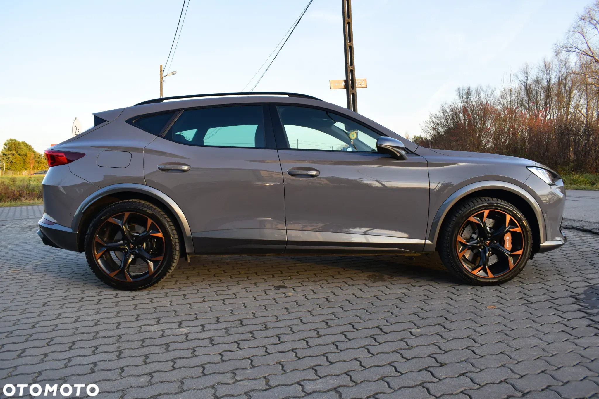 Cupra Formentor - 8