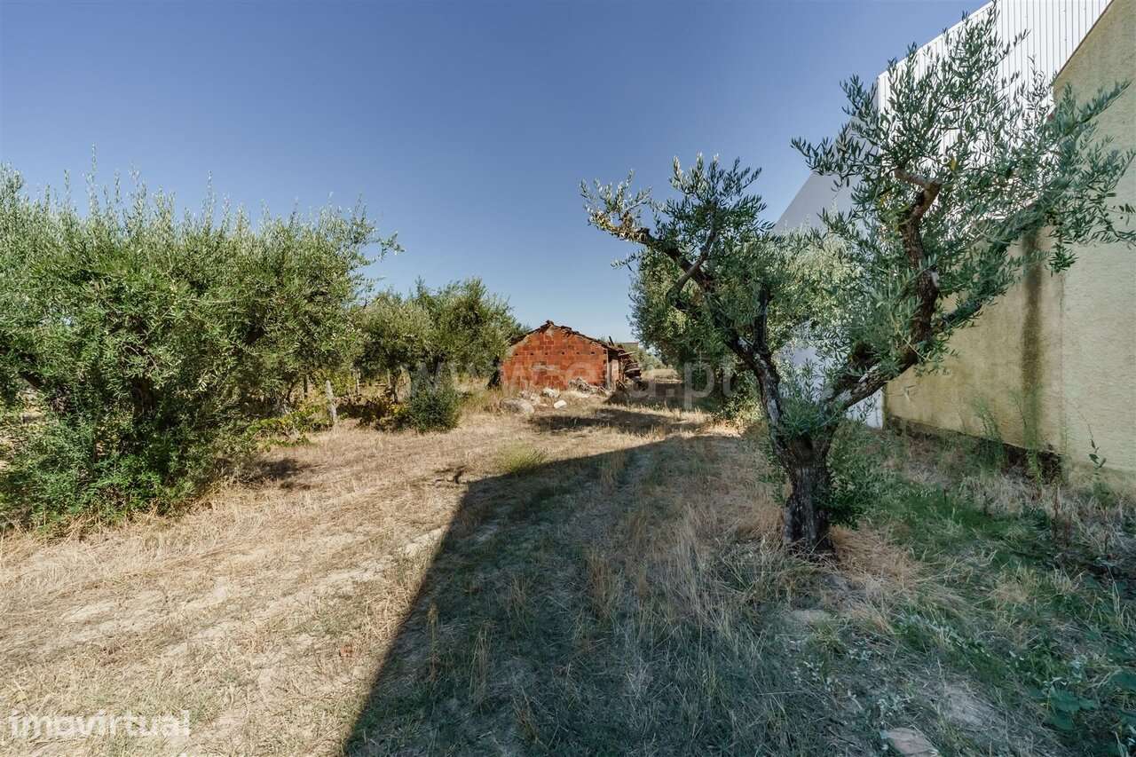 Terreno para Construção / Fundão, Valverde - Grande imagem: 4/18