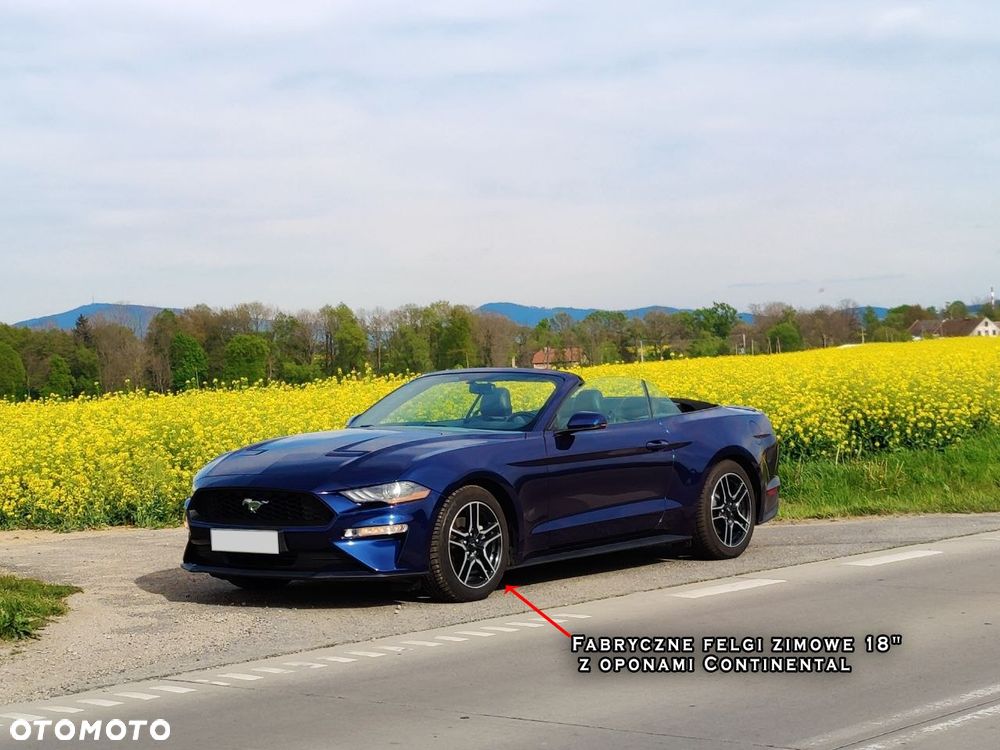 Ford Mustang Cabrio 2.3 Eco Boost - 6