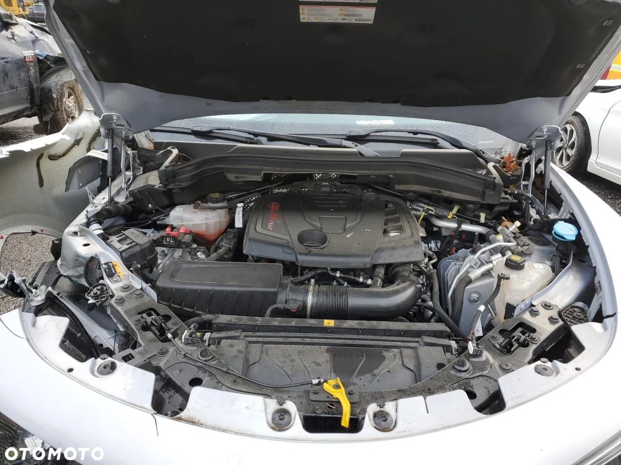 Alfa Romeo Stelvio 2.0 Turbo 16V AT8-Q4 Super - 5