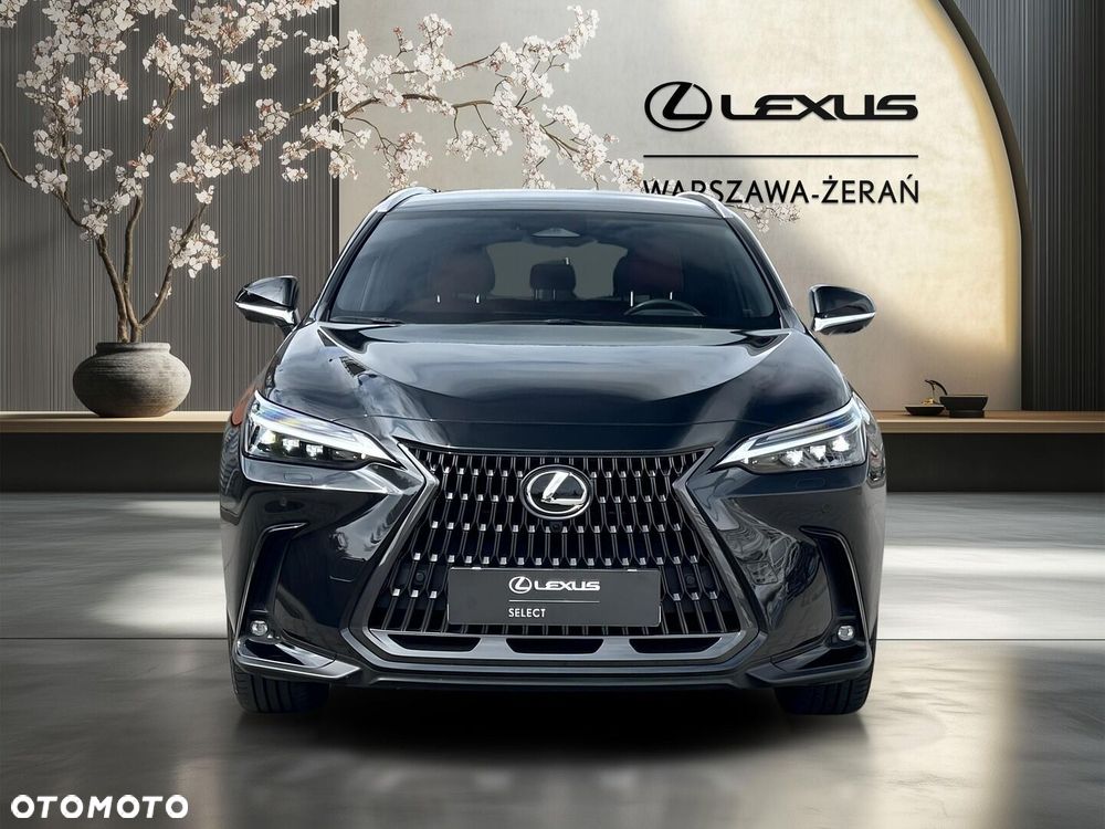 Lexus NX - 10