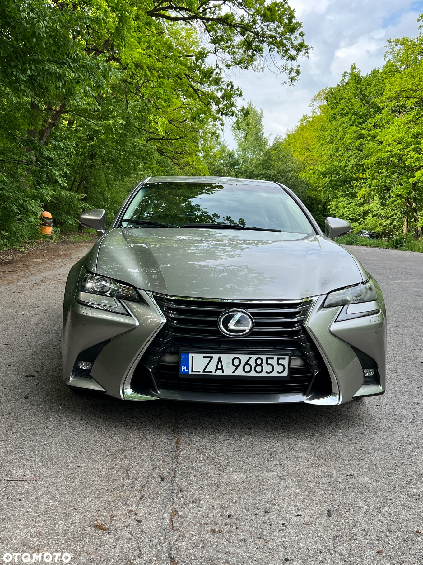 Lexus GS 200t / 300 Elegance - 15