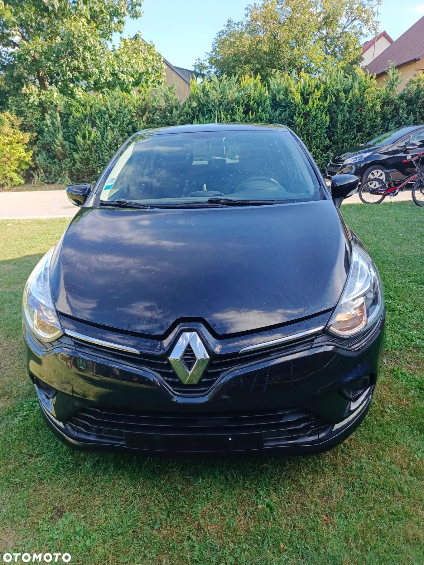 Renault Clio - 1