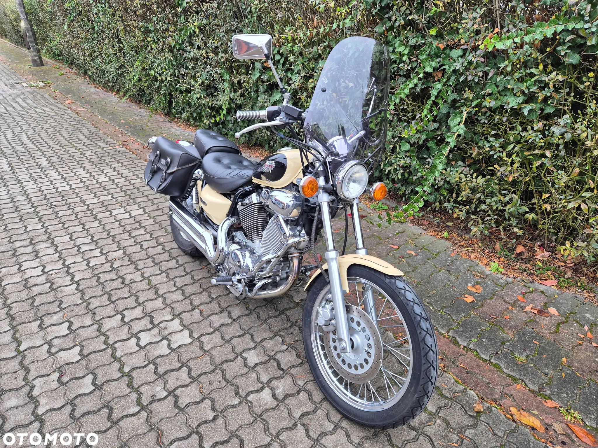 Yamaha Virago - 17