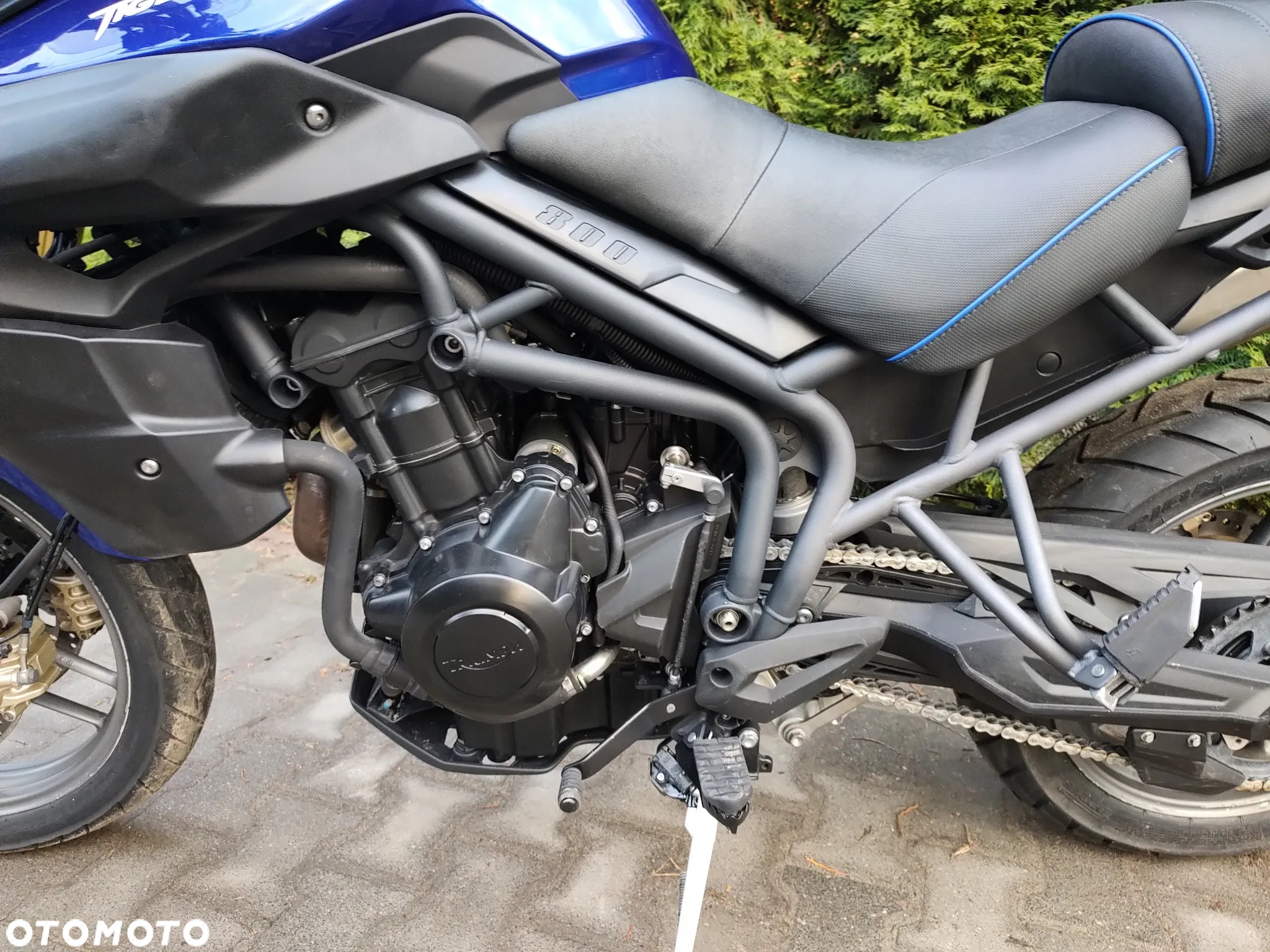 Triumph Tiger - 11