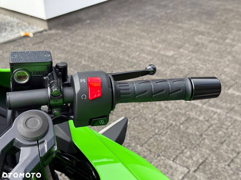 Kawasaki Ninja - 14