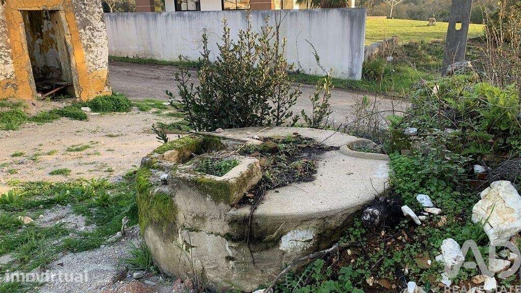 Terreno Agrícola em Pombal - Grande imagem: 2/35