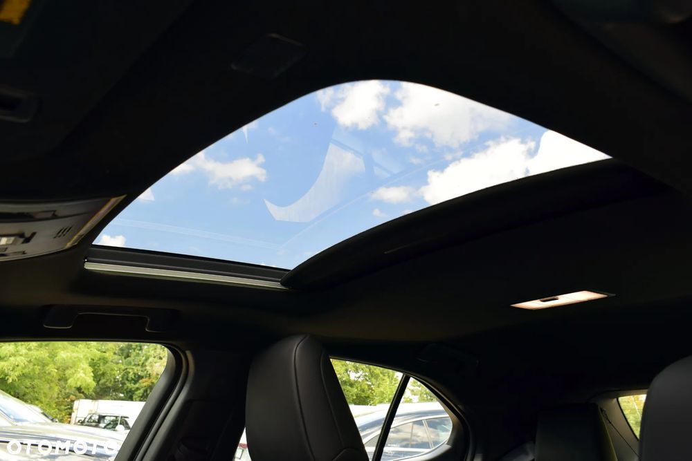 Lexus UX 250h GPF F Sport 2WD - 19