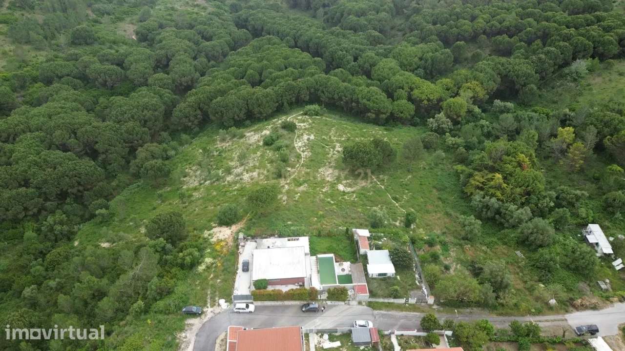 Terreno Rústico com 7.920 m² em Vilalonga – Excelente Oportunidade de - Grande imagem: 5/5