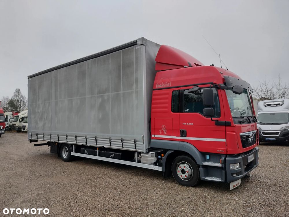 MAN TGL 250  Firana 19 Palet - 16