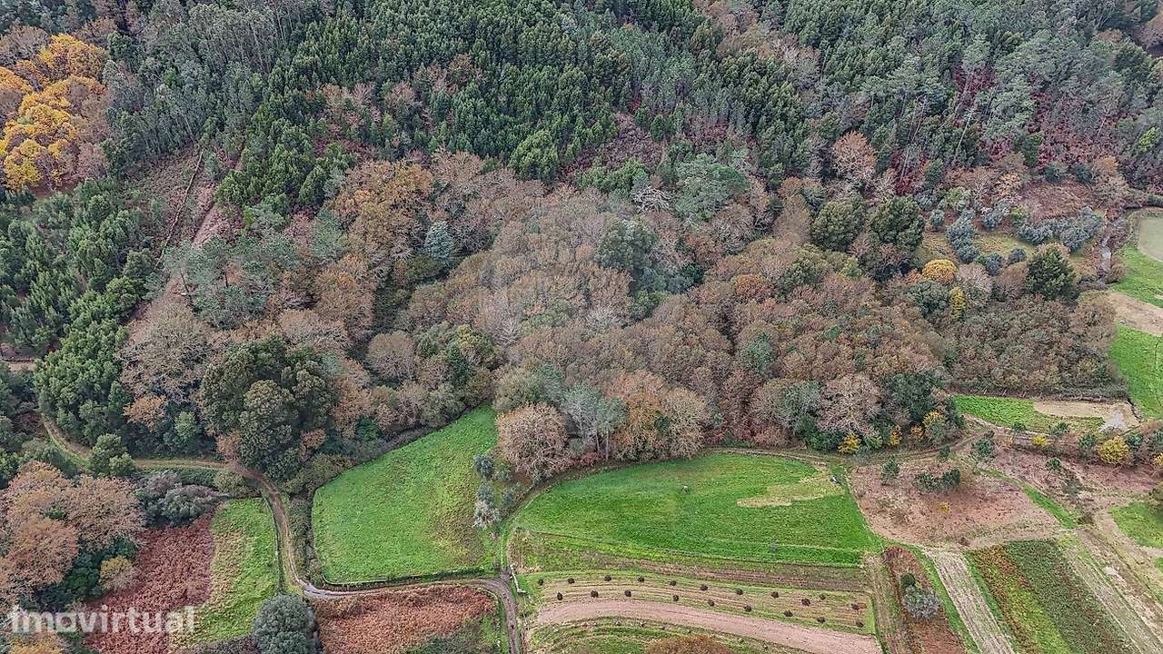 Terreno  para venda - Grande imagem: 3/26