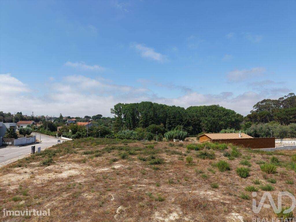 Terreno para construção em Carregal do Sal - Grande imagem: 4/12