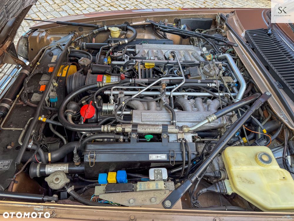 Jaguar XJS 5.3 - 27