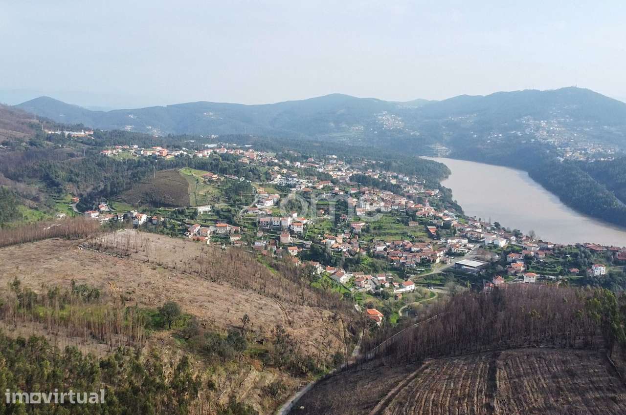 Terreno florestal urbanizável com 7.800 m2 - Rio Mau, Penafiel - Grande imagem: 3/9