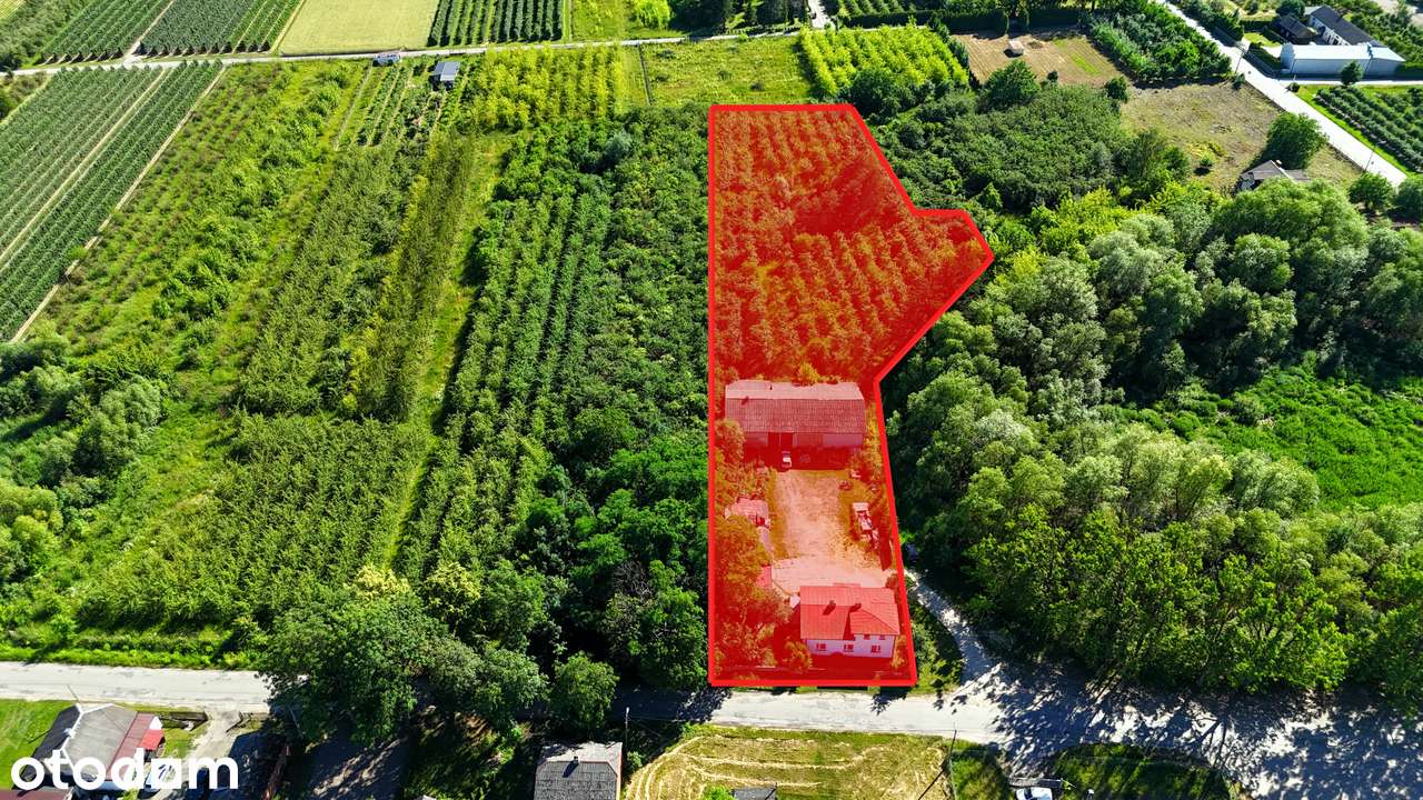 Siedlisko z domem | działka 6600 m2 | 20 min od Grójca - Pełny obrazek: 5/20