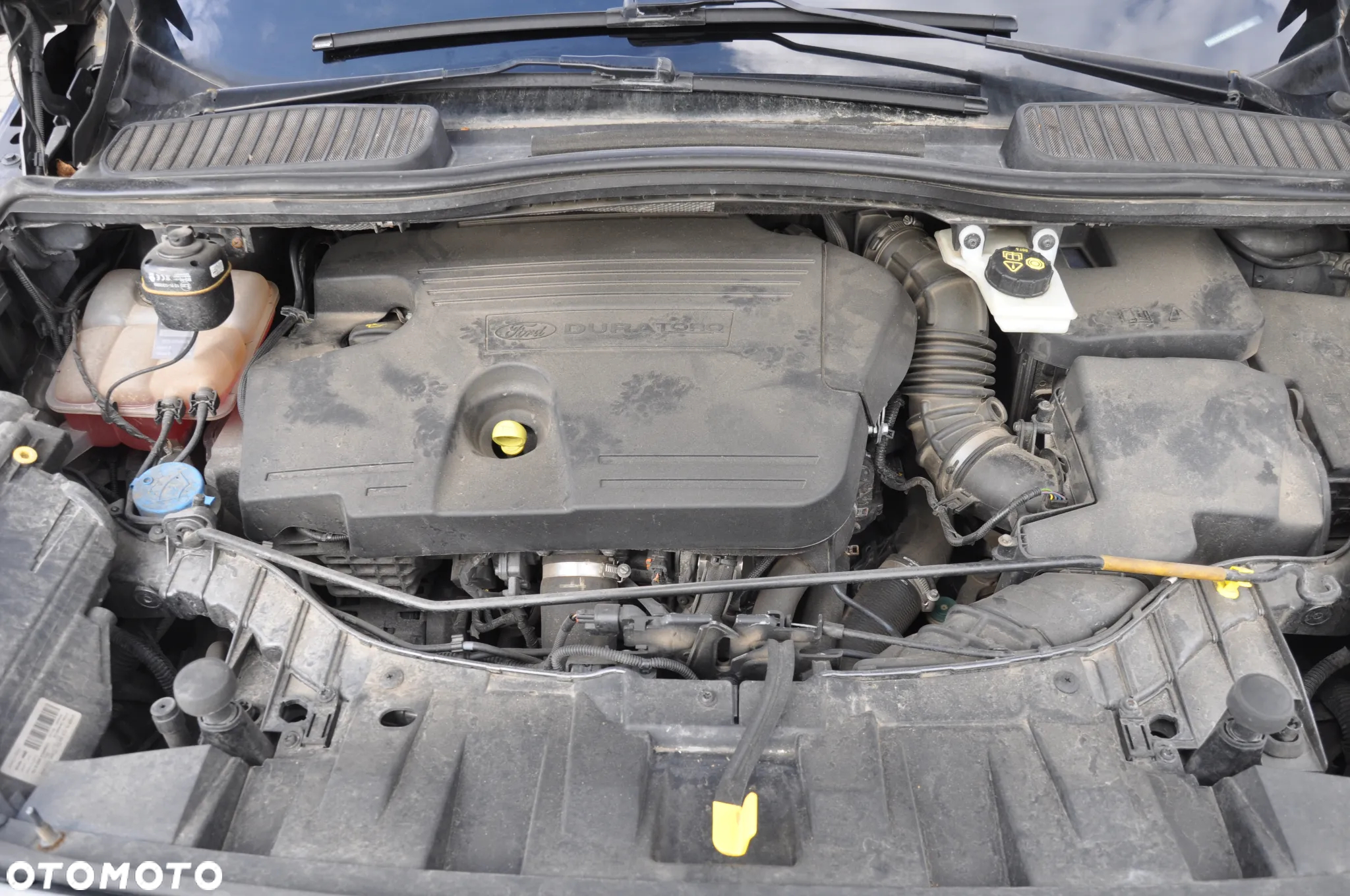 Ford Grand C-MAX Gr 2.0 TDCi Edition ASS - 17