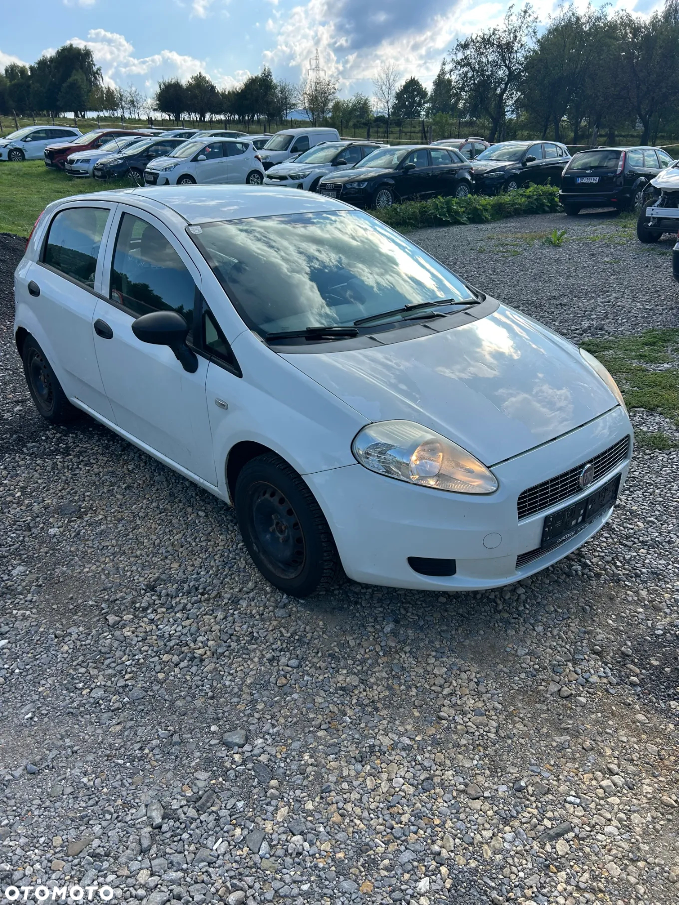 Fiat Punto - 3