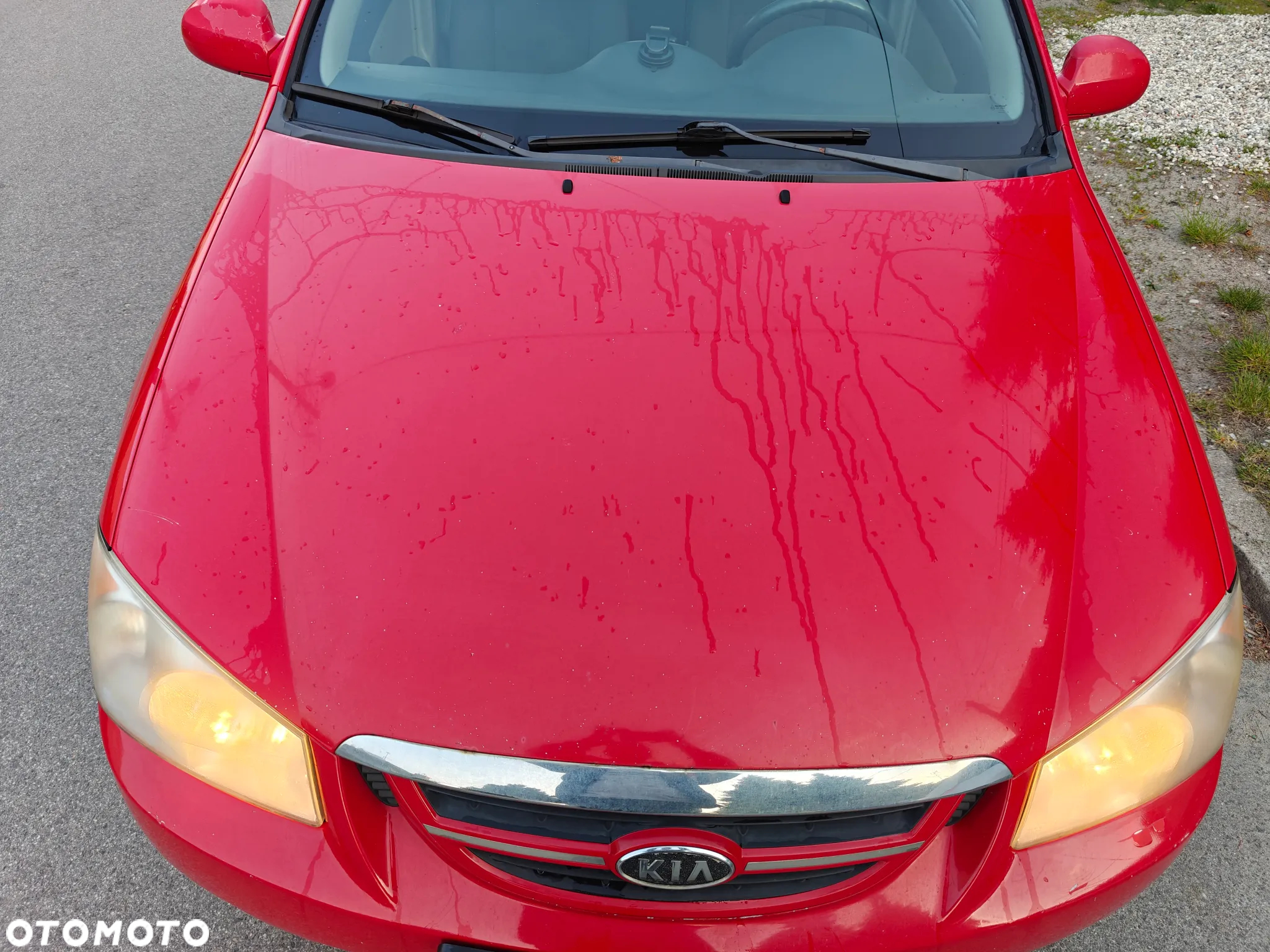 Kia Cerato 1.5 CRDi (klm) / Comfort - 12