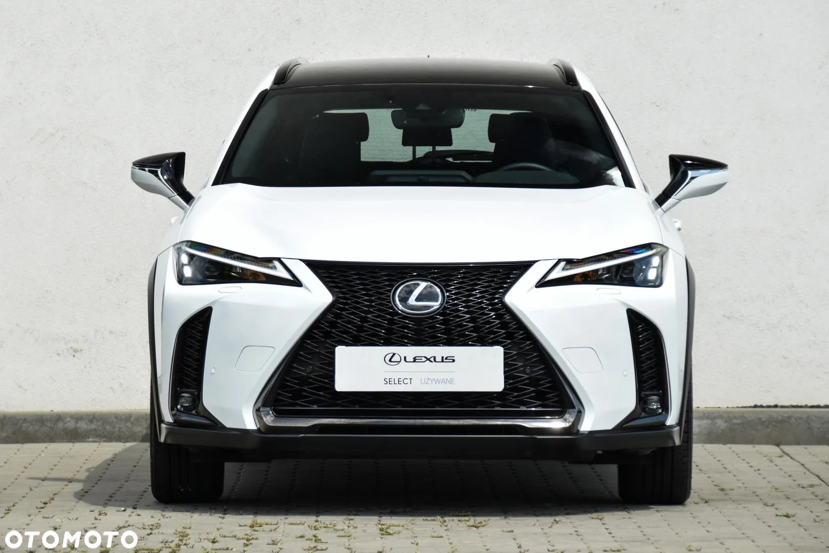 Lexus UX 250h GPF F Sport Design+ 2WD - 12