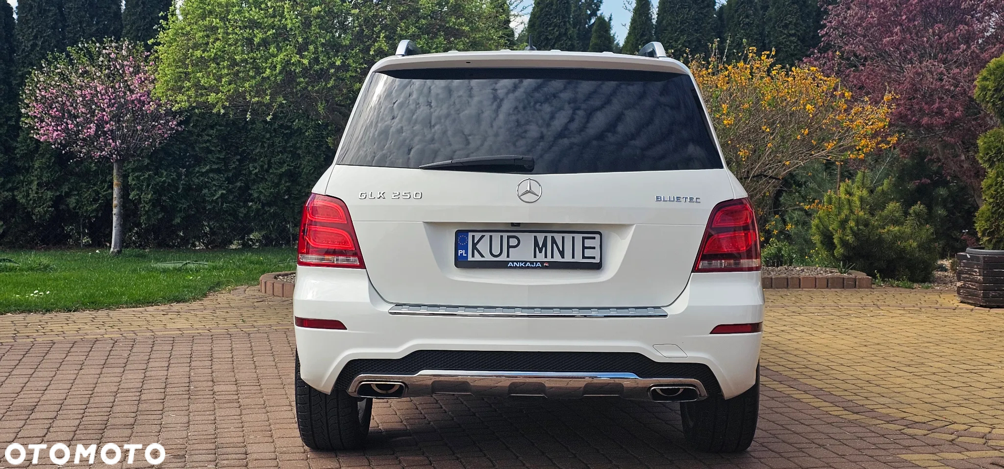 Mercedes-Benz GLK 250 CDI BlueTEC 4-Matic - 24