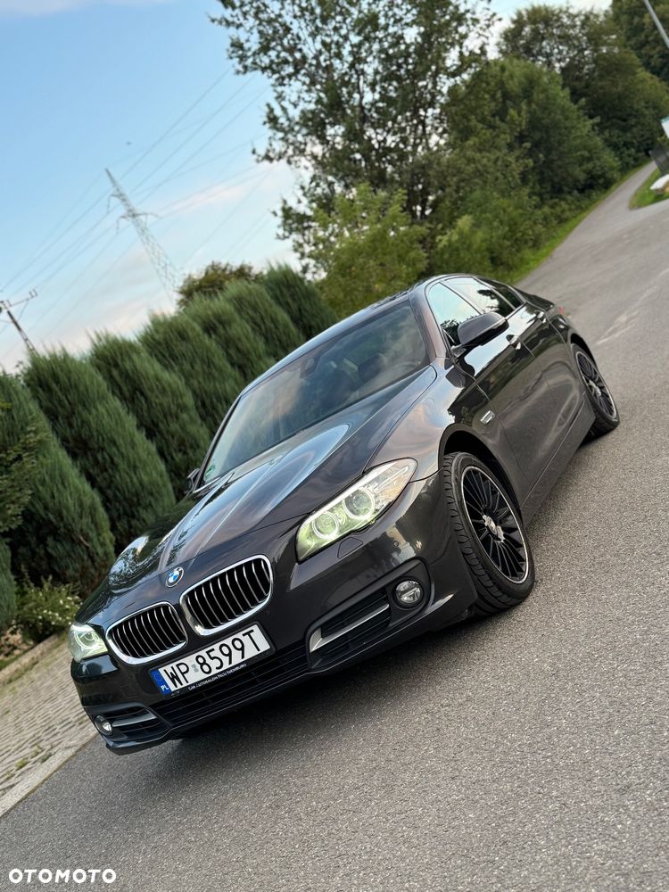BMW Seria 5 520d Luxury Line - 8