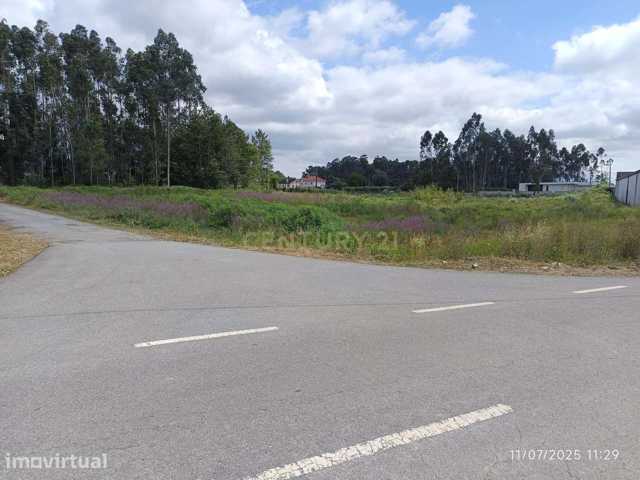 Terreno Industrial 10.000 m² com Excelente Acesso à A3 – Oportunidade - Grande imagem: 3/8