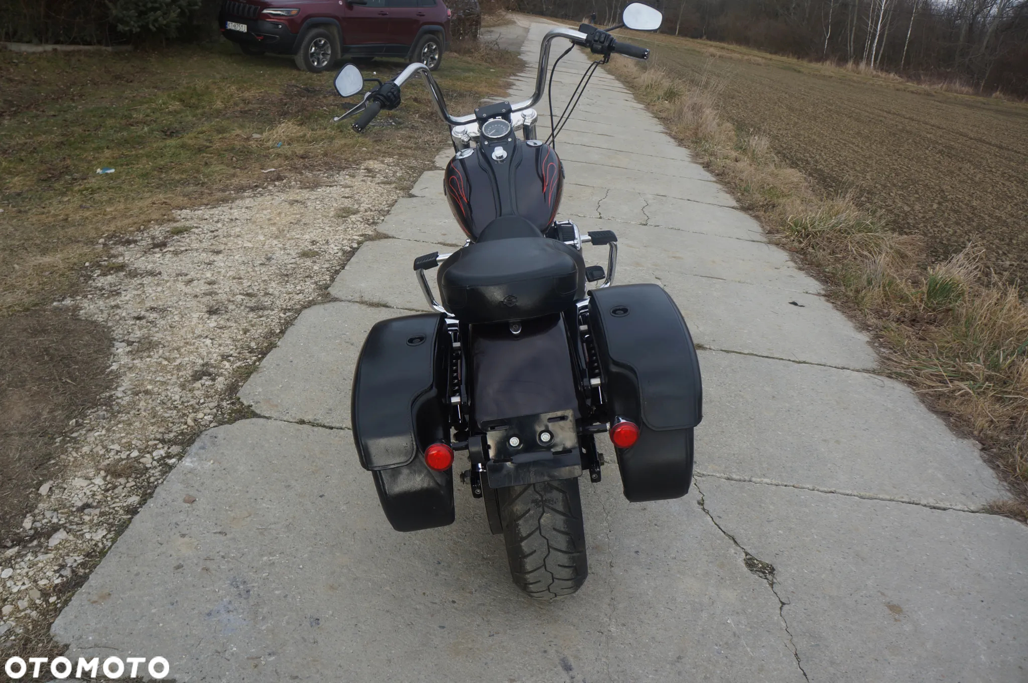 Harley-Davidson Dyna Wide Glide - 10