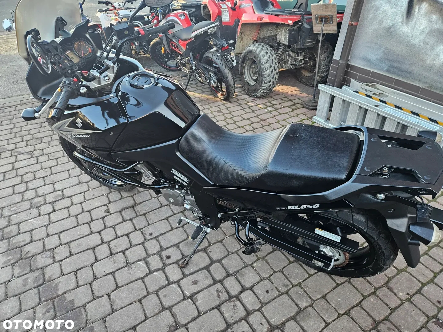 Suzuki DL - 31