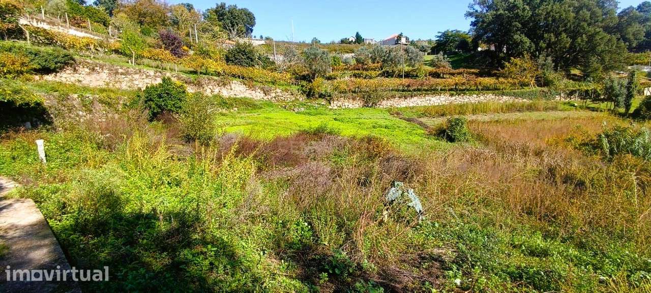Terreno agrícola com muita água em S. Pedro, de Santa Marinha do Zêzer - Grande imagem: 2/32
