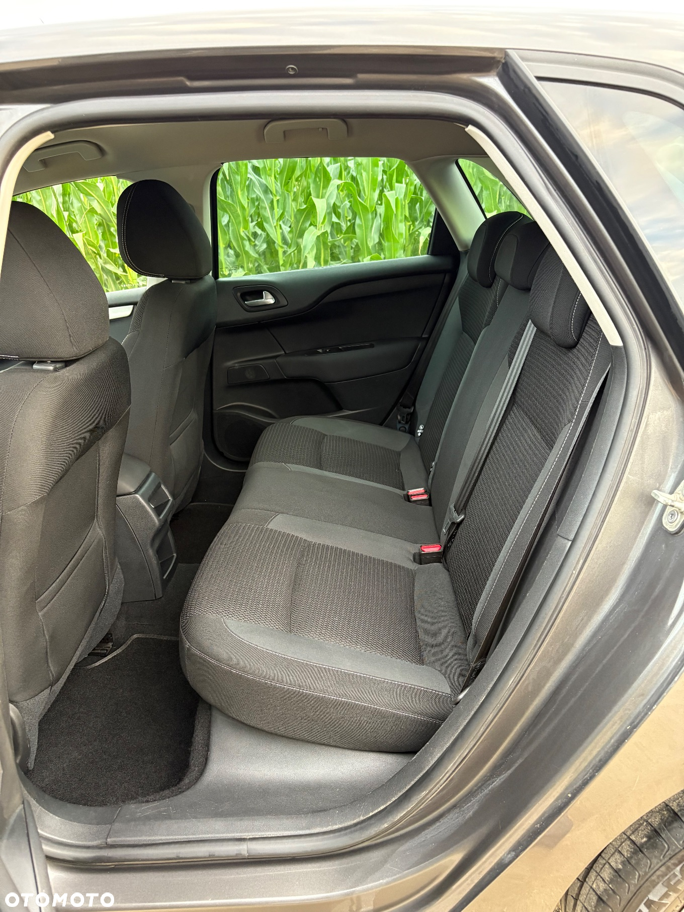 Citroën C4 BlueHDi 120 Stop&Start Shine - 17