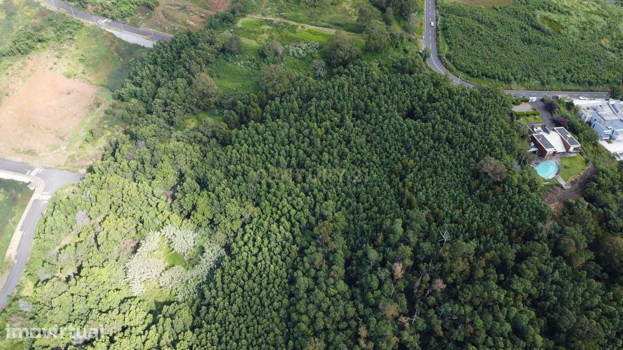 Terreno em Santa Cruz, Ilha da Madeira - Grande imagem: 2/5