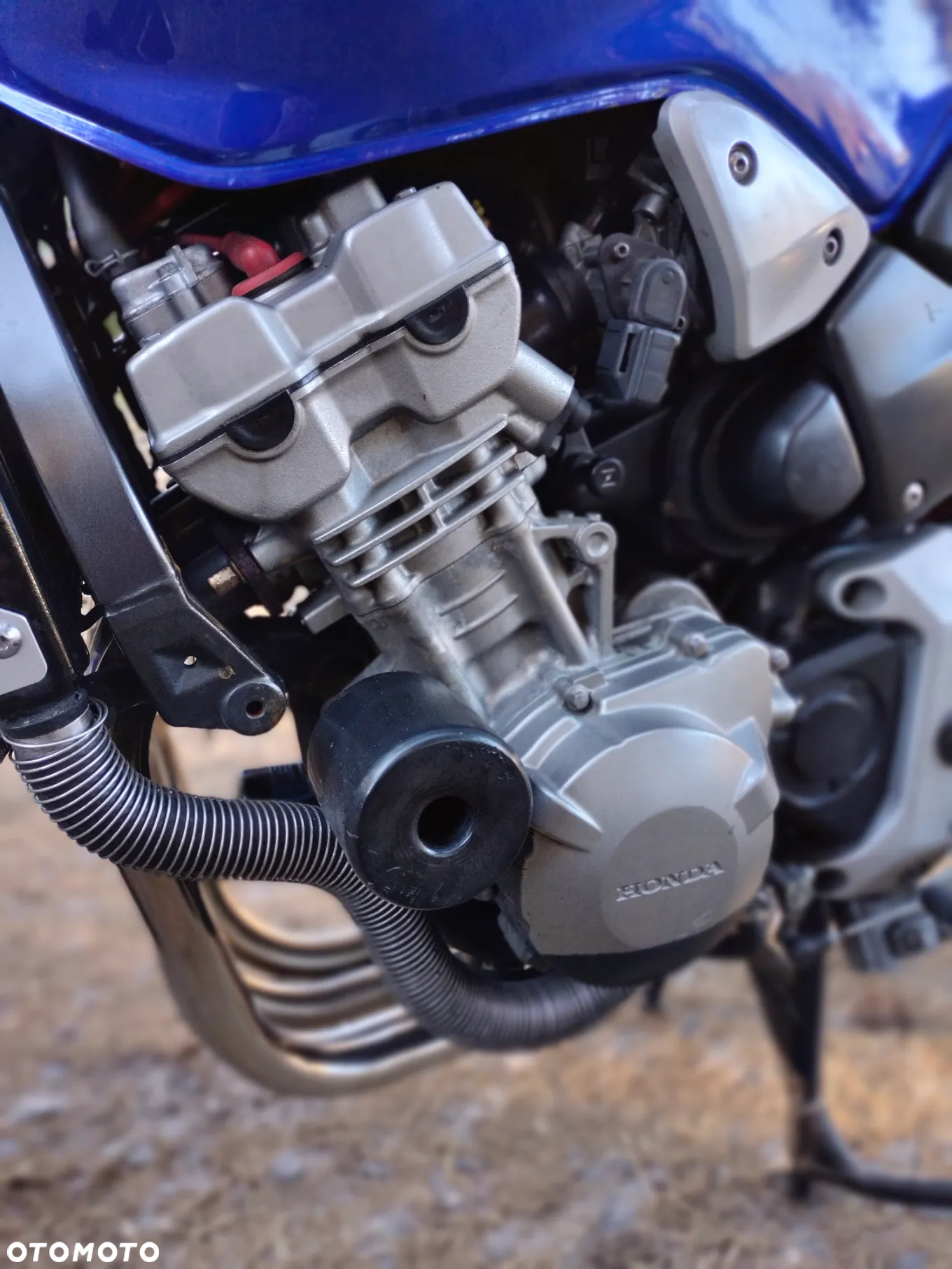 Honda Hornet - 6