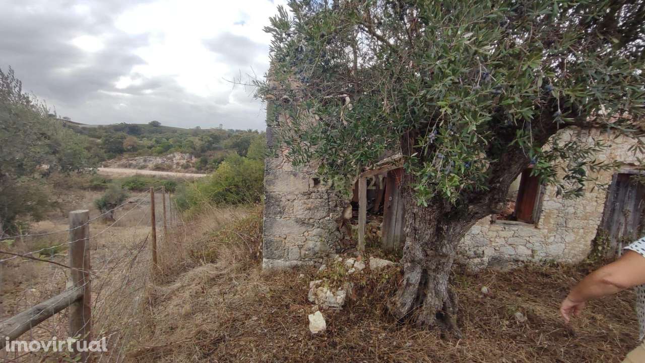 Terreno com casas antigas para Recuperação em São Vicente do Paul, San - Grande imagem: 2/18