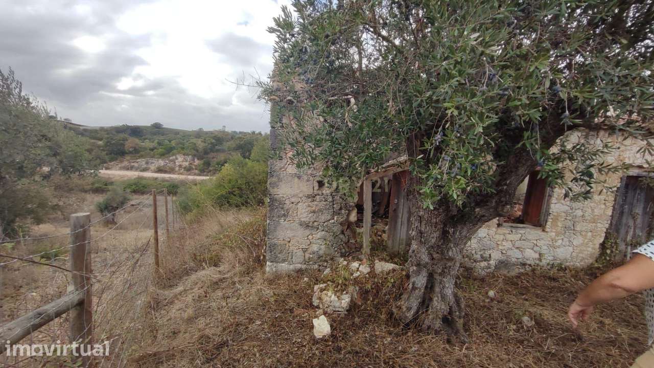 Casas antigas para Recuperação, com terreno em São Vicente do Paul, Sa - Grande imagem: 3/22