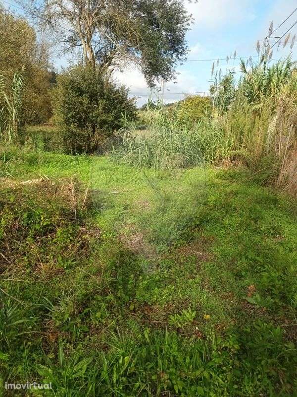 Terreno  para venda - Grande imagem: 2/6