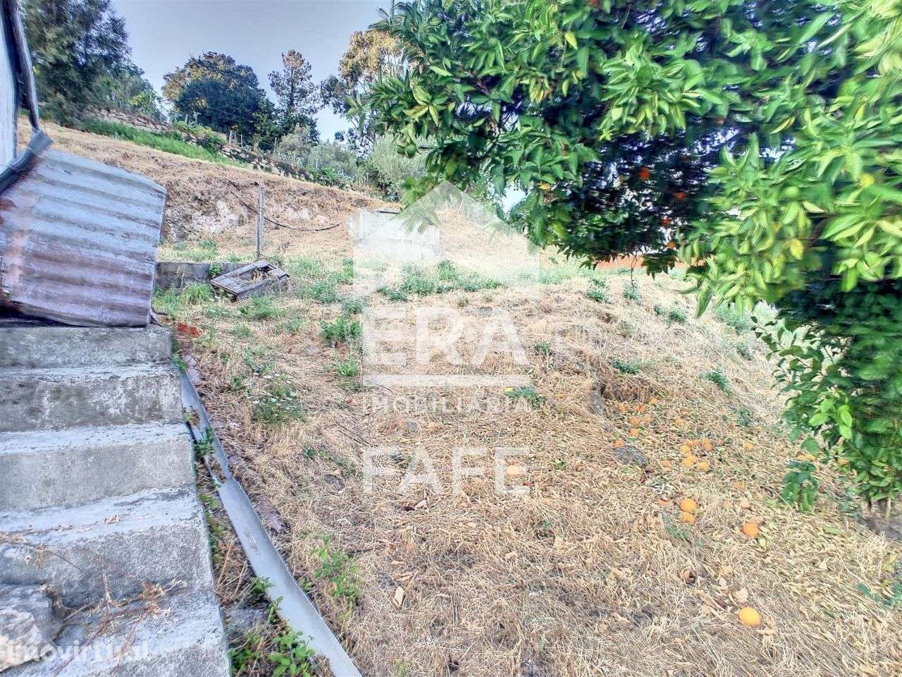 Moradia em Cabeceiras de Basto - Grande imagem: 3/20